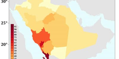 Saudi-Arabien Bevölkerung Dichte Karte